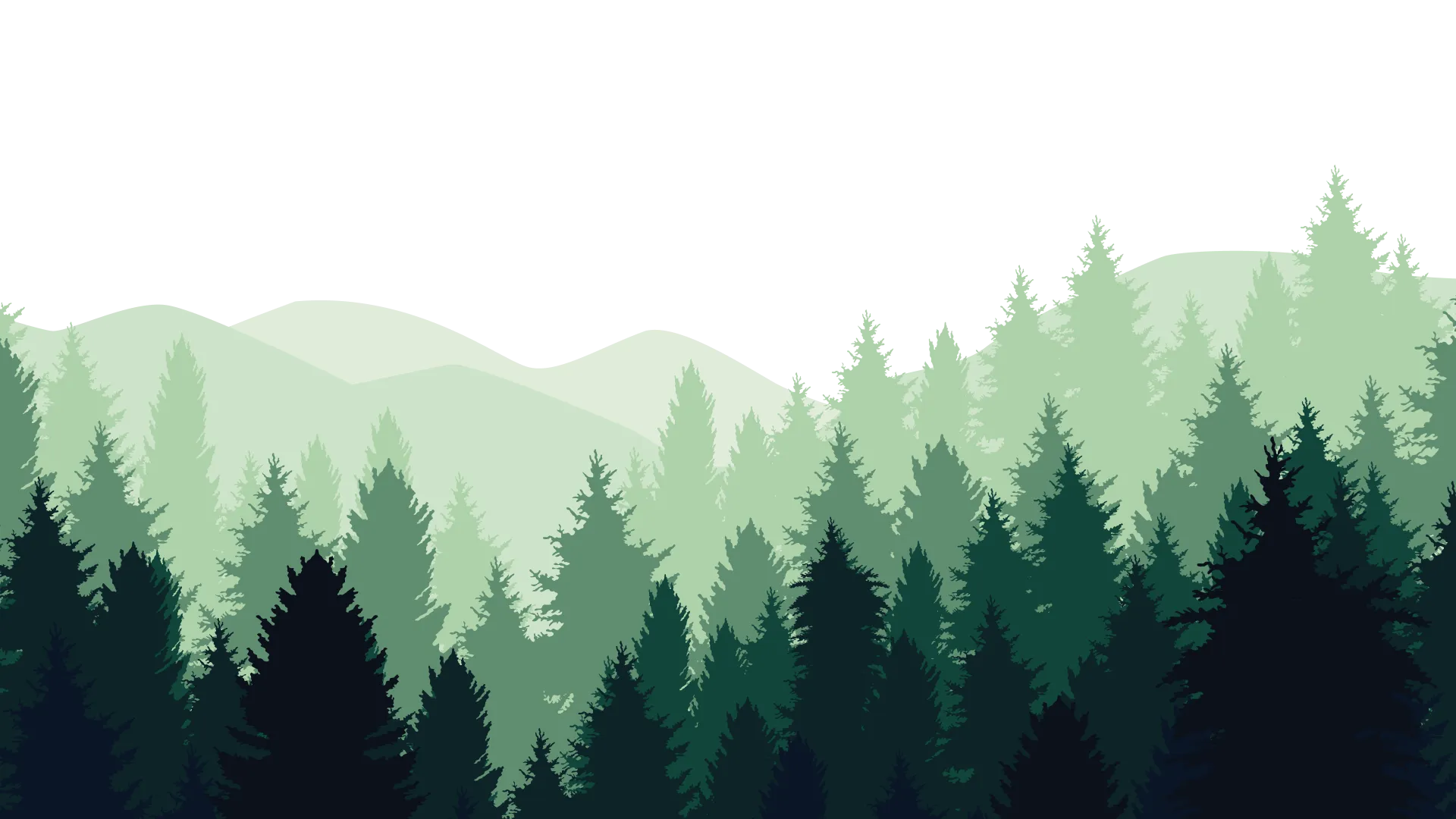 Forest Background